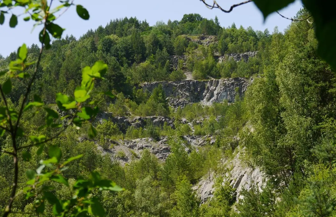 Leśniakówka-1